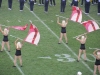 field-stuff